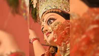  Chaitra Navratri 2025: इस साल चैत्र नवरात्रि पर मां दुर्गा हाथी पर सवार होगी: जानें क्या मतलब है