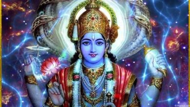 Vijaya Ekadashi 2025: विजया एकादशी पर ये उपाय जरूर करें,  बिगड़ी बात बन जाएगी