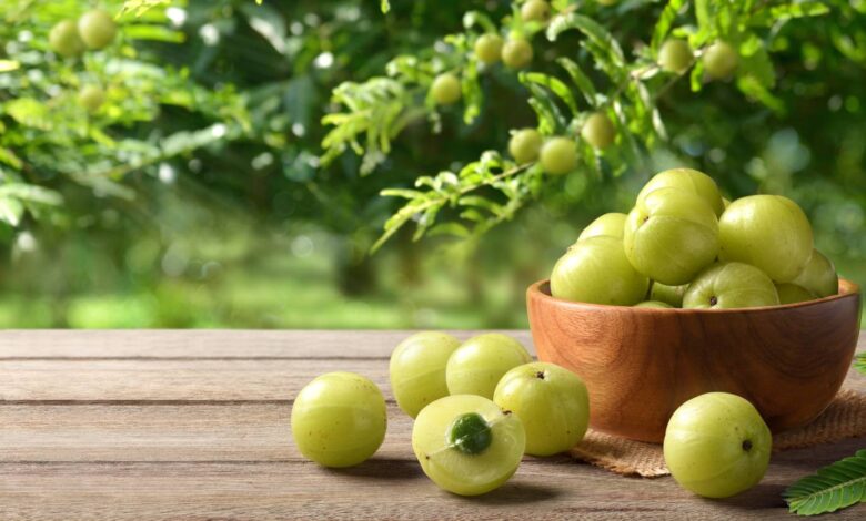 Amla Health Benefits: सप्ताह में एक बार औषधीय गुणों से भरपूर इस हरी चीज को खाएं और देखें कि यह आपके शरीर पर कैसे काम करता है?