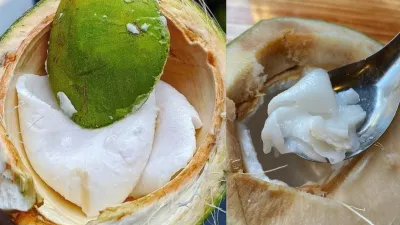 Coconut Cream Benefits: नारियल की मलाई खाने से सिर से पैरों तक को फायदा होगा, हार्ट और बोन हेल्थ के लिए फायदेमंद है