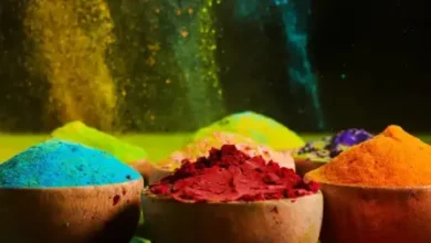 Holi 2025: यदि आप होली के रंगों का अपनी राशि के अनुसार इस्तेमाल करें, तो सभी ग्रह दोष दूर हो जाएंगे