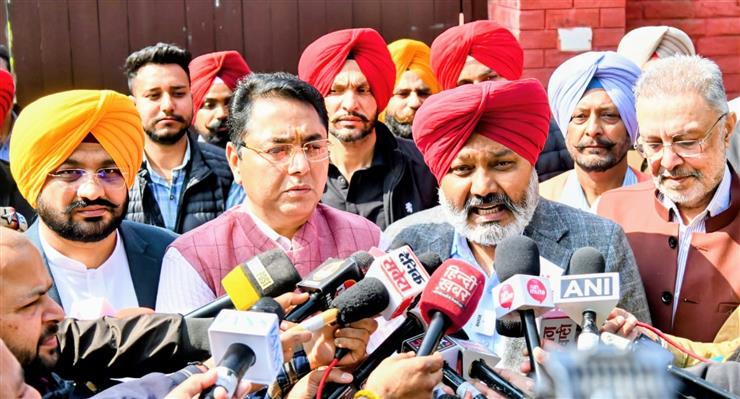 हरपाल सिंह चीमा: युद्ध नाशियान विरुद्ध' कैबिनेट उप समिति ने प्रत्येक समिति सदस्य के लिए विशिष्ट कार्य क्षेत्र निर्धारित किए