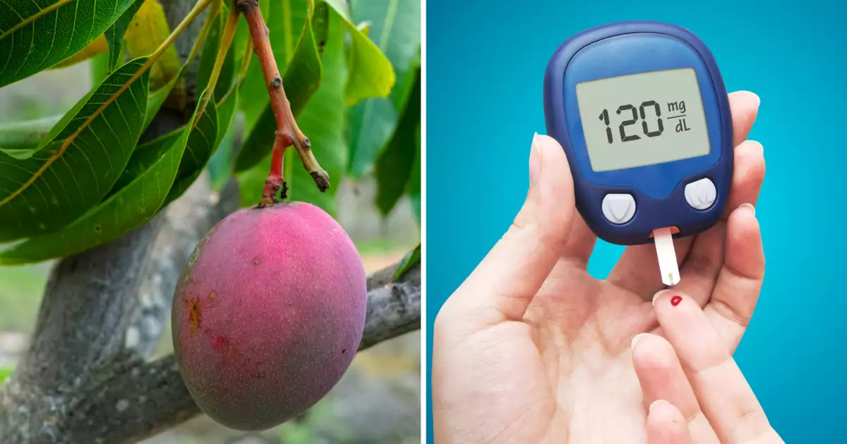 Mango Leaves Benefits: वेट लॉस और मधुमेह को नियंत्रित करने के लिए आम के पत्ते का इस्तेमाल करने के 7 शानदार लाभ