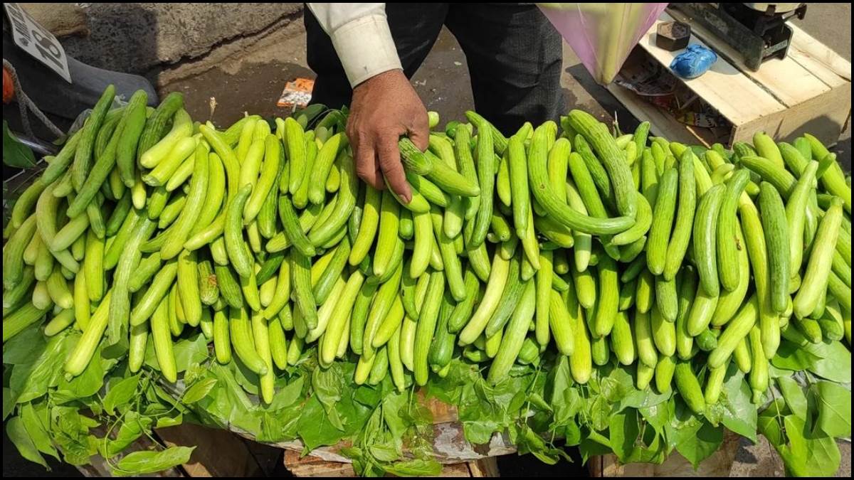 Kakdi Health Benefits: गर्मियों में हर दिन ककड़ी खाने का क्या प्रभाव होता है? इसे कंज्यूम करने का सही तरीका जानें
