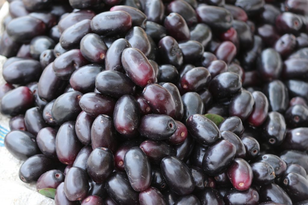 Jamun Fruit Benefits: ये काले फल, गुठली से लेकर पत्ते तक, मधुमेह के मरीजों पर दवा की तरह काम करते हैं