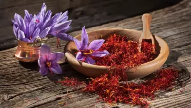 Kesar Water Benefits: रोज सुबह ये पीला पानी पिएं, महीने भर में आपका शरीर फौलादी बन जाएगा।