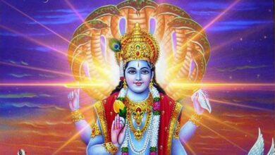 Nirjala Ekadashi Tulsi Upay 2025: निर्जला एकादशी पर सुख-सौभाग्य को बढ़ाने के लिए ये 5 उपाय करें