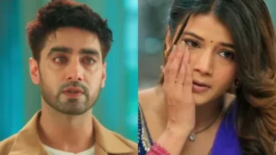 YRKKH Twist: विद्या और दादी-सा स्टेज पर शर्मिंदा होंगे, अरमान का केस लड़ेगी अभिरा