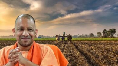 UP News: योगी सरकार यूपी में किसानों की आय बढ़ाएगी, ढाई लाख कृषक परिवारों को सीधा लाभ मिलेगा