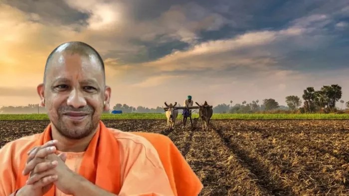 UP News: योगी सरकार यूपी में किसानों की आय बढ़ाएगी, ढाई लाख कृषक परिवारों को सीधा लाभ मिलेगा