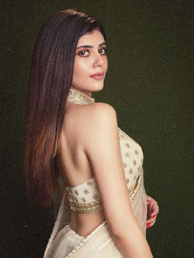 10 स्टाइलिश ब्लाउज डिजाइंस