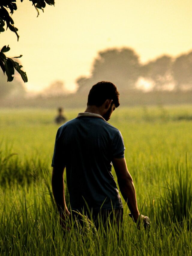 घास पर चलने के 8 बेहतरीन लाभ