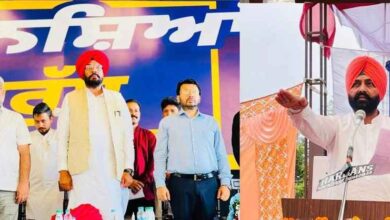 Punjab News: नशे के खिलाफ युद्ध मोड में पहुंची मान सरकार, मंत्रियों ने संभाली कमान