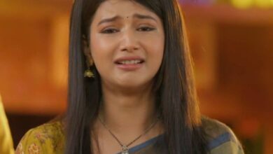 YRKKH Twist: मायरा अभिरा की सच्चाई बताएगी, अरमान तलाक के पेपर्स को देखकर ऐसा रिएक्ट करेगा