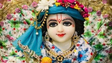 Laddu Gopal को सुलाने के दौरान इन नियमों का ध्यान जरूर रखें; हर मनोकामना पूरी होगी।