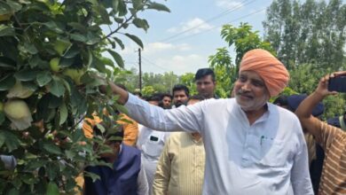 कृषि मंत्री श्याम सिंह राणा का एपल गार्डन और सब्जी मंडी का दौरा