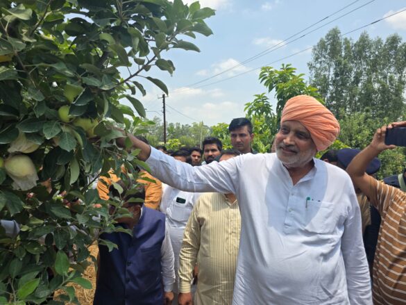 कृषि मंत्री श्याम सिंह राणा का एपल गार्डन और सब्जी मंडी का दौरा