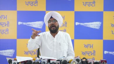 पंजाब के 532 किलोमीटर लंबे इंटरनेशनल बॉर्डर पर ड्रोन के जरिए पाकिस्तान से आ रहे नशे और हथियार हमारे लिए बड़ी चुनौती: धालीवाल